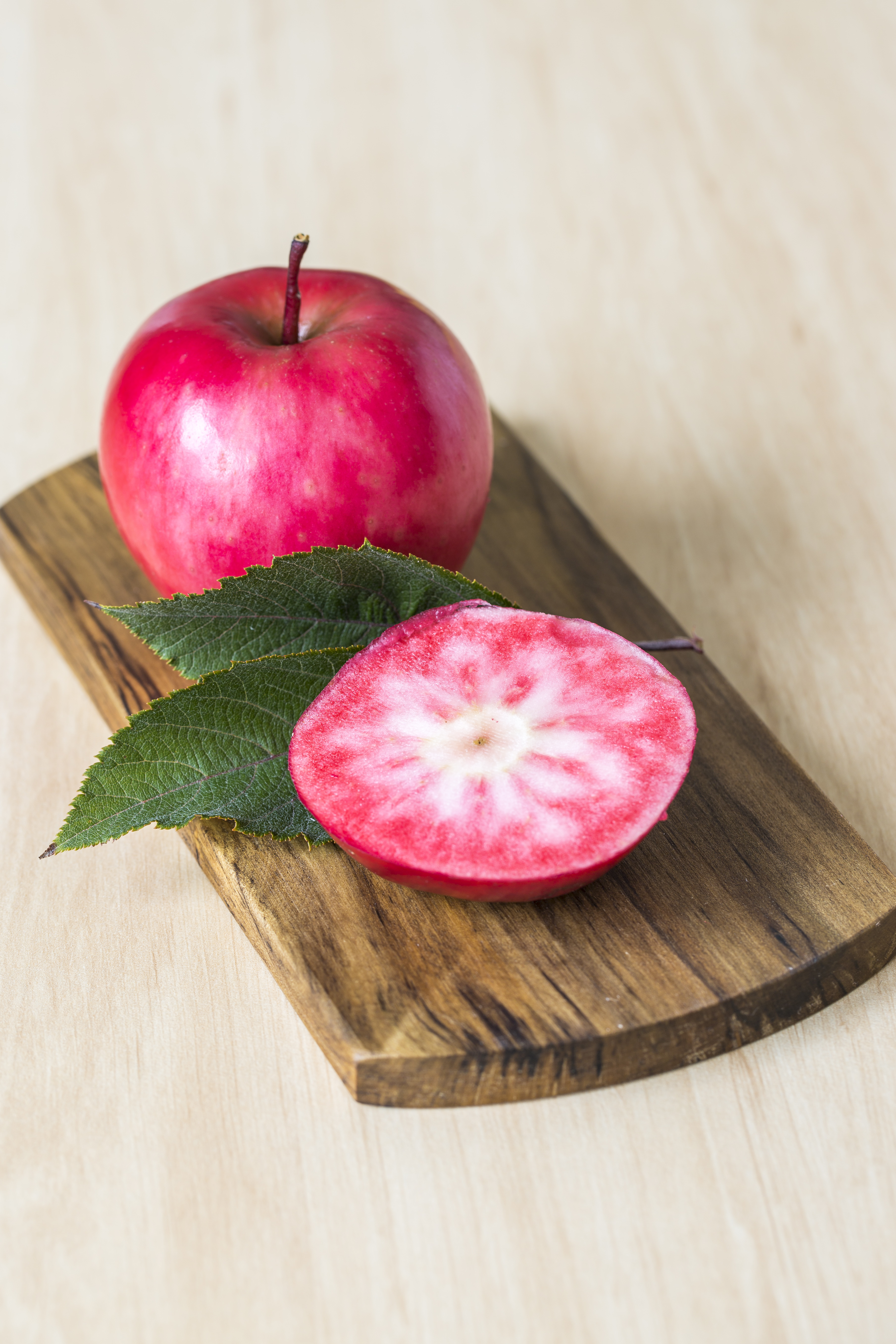 Website/Plants/2144399150/Images/Gallery/M.Red Apple-38.0.jpg